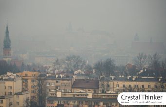 examples of social norms (helping to improve social behaviors) examples of social norms