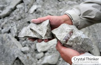 What is a Belemnite Fossil? Belemnite Fossil